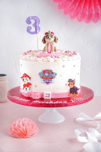 Paw Patrol Torte backbienchen