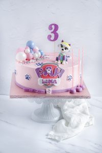 Paw Patrol Torte backbienchen