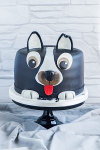 Hunde Torte backbienchen