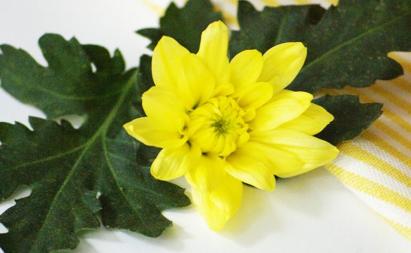 Lemon Curd der leckere Brotaufstrich für die Sommer Frühstücks Tafel.